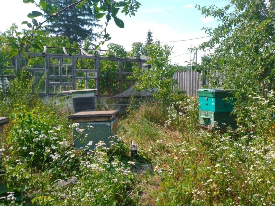 Продам дом в Солоницевском Отг (п.Ольшаны)