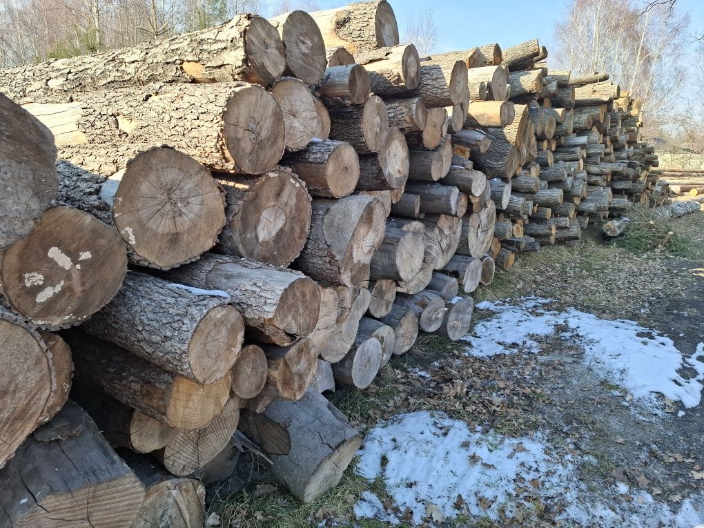 Drewno opałowe, kominkowe dąb, buk, brzoza, olcha, osika