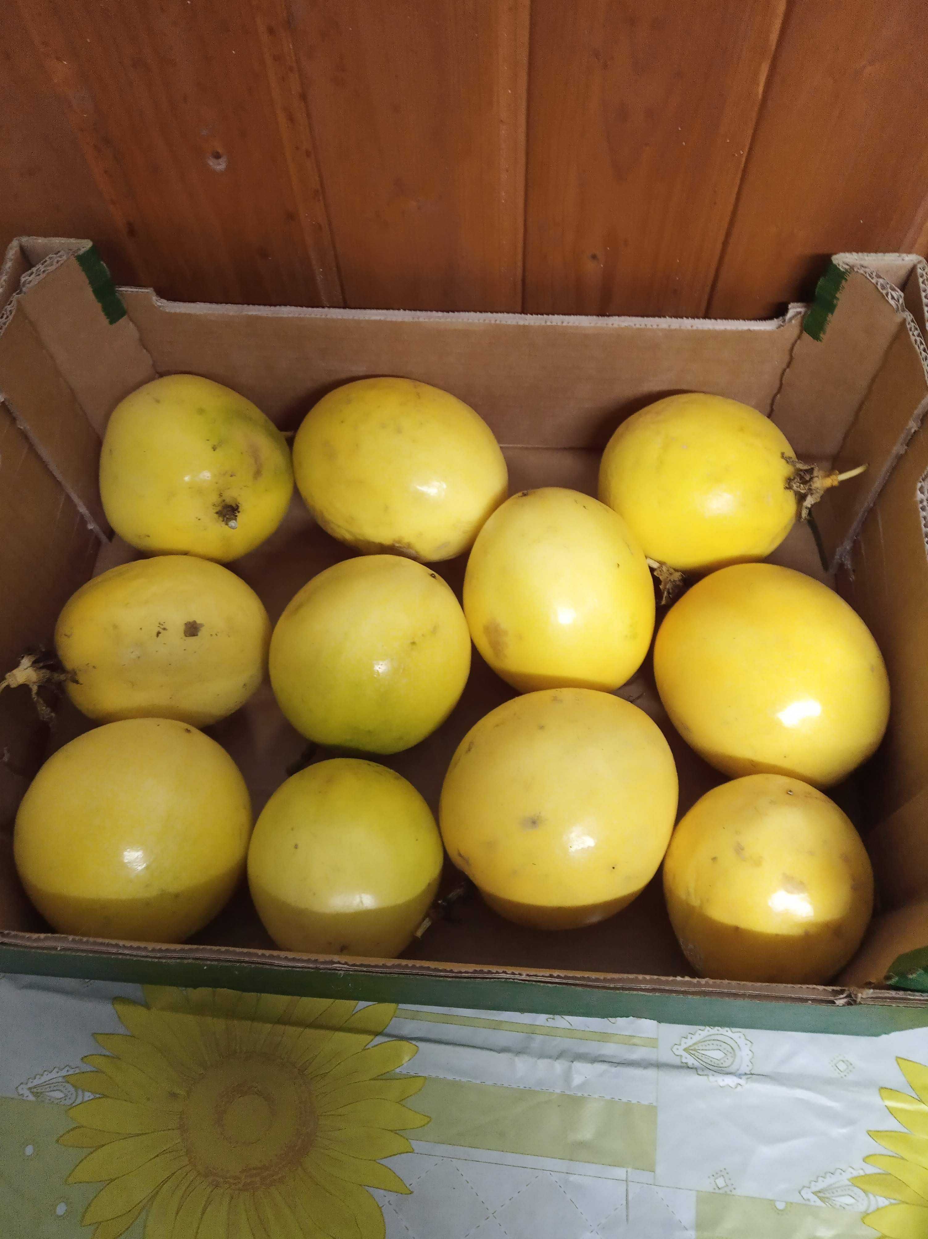 Plantas e Sementes Maracujá Gigante Amarelo