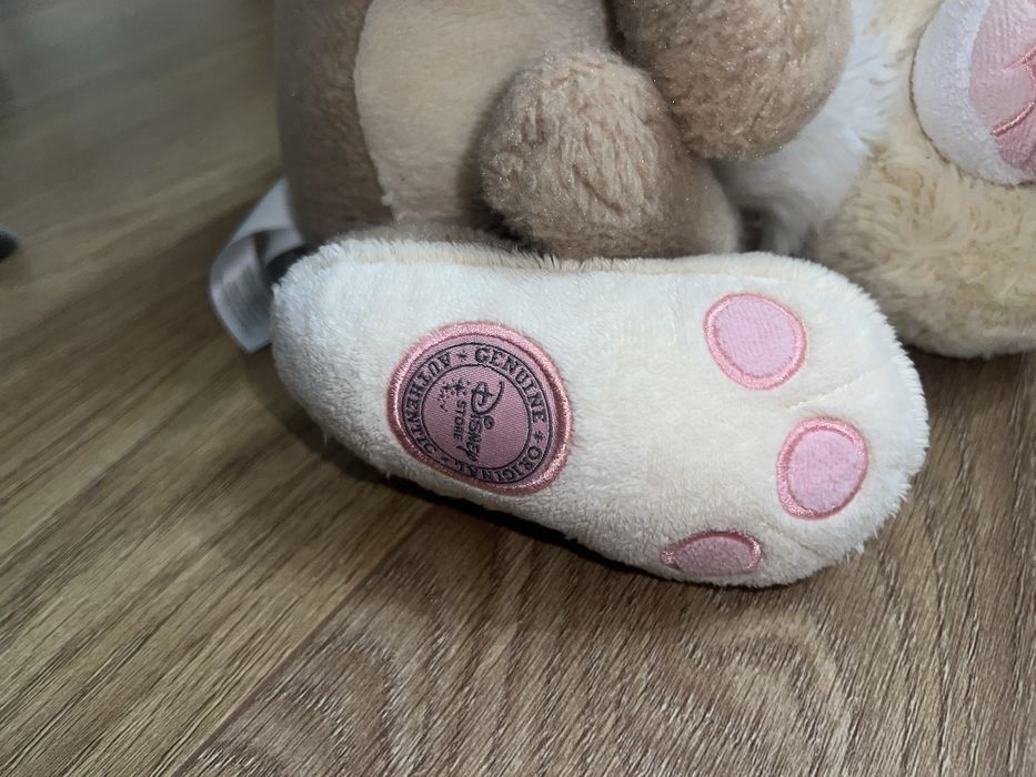 Tuptuś disneyland disney store