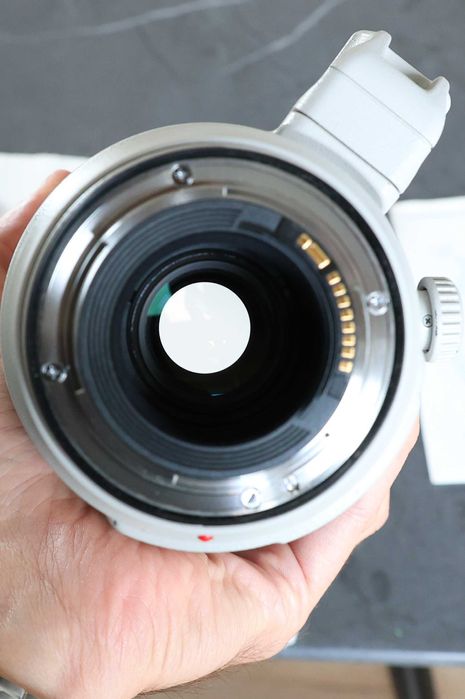 Canon EF 100-400mm f/4.5-5.6 L IS II USM