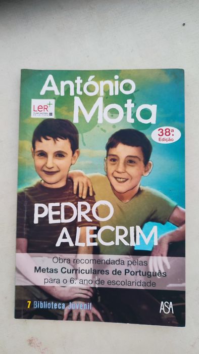 Livro Pedro Alecrim