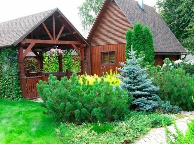Догляну якісно будинок чи квартиру в Києві за умови проживання там.