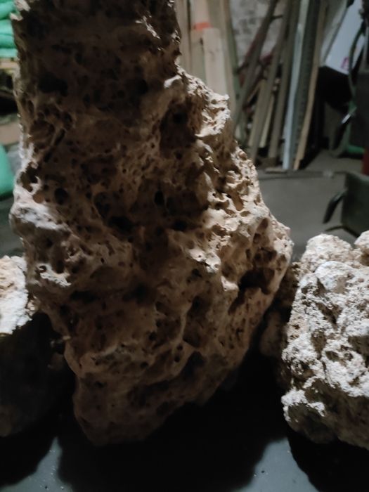 Akwarium oraz wapień Filipiński