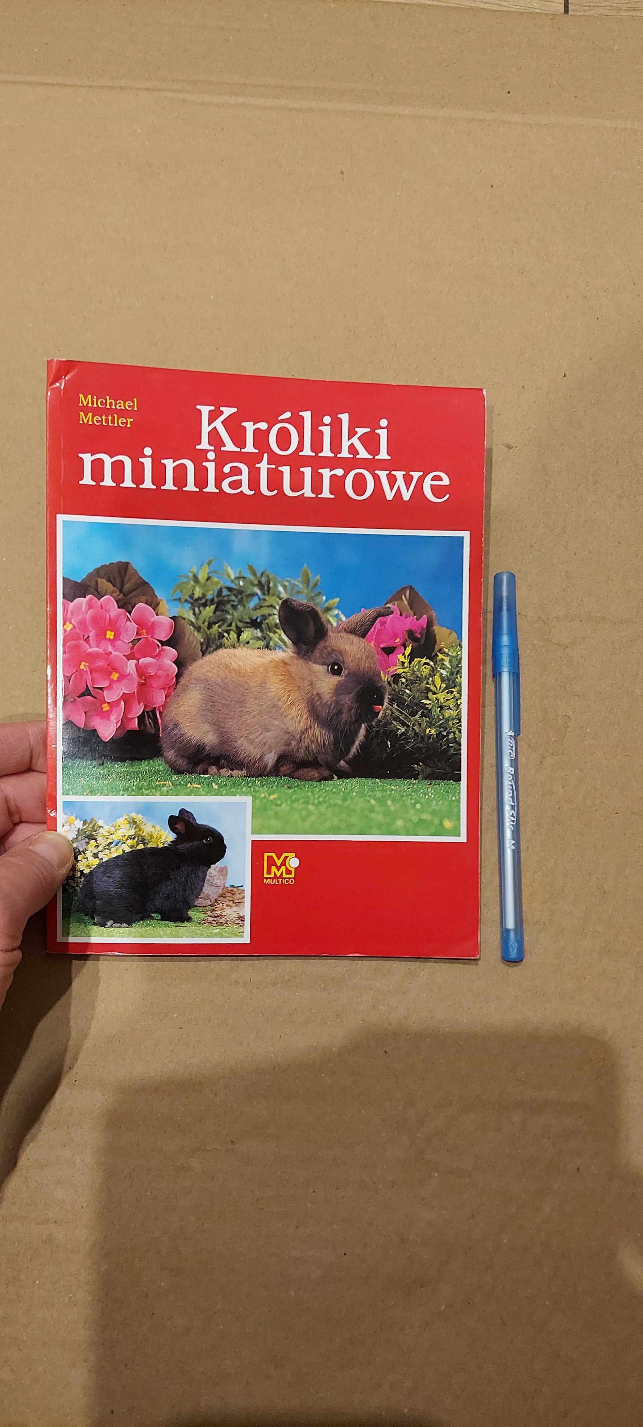Króliki miniaturowe, Mettler