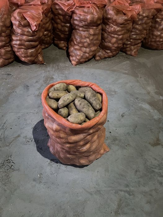 Ziemniaki bardzo duze ekologiczne