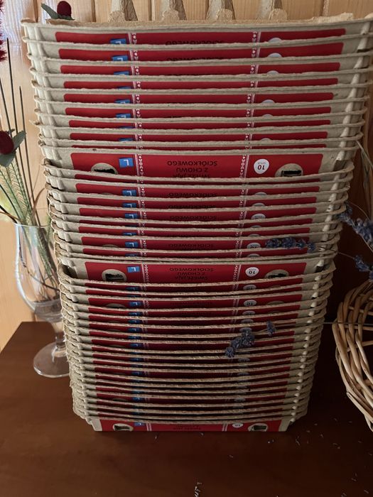 Wytlaczanki na 10 jaj rozmiar L