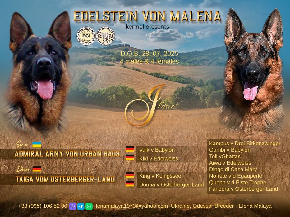 Хлопець, 4 місяці, КСУ