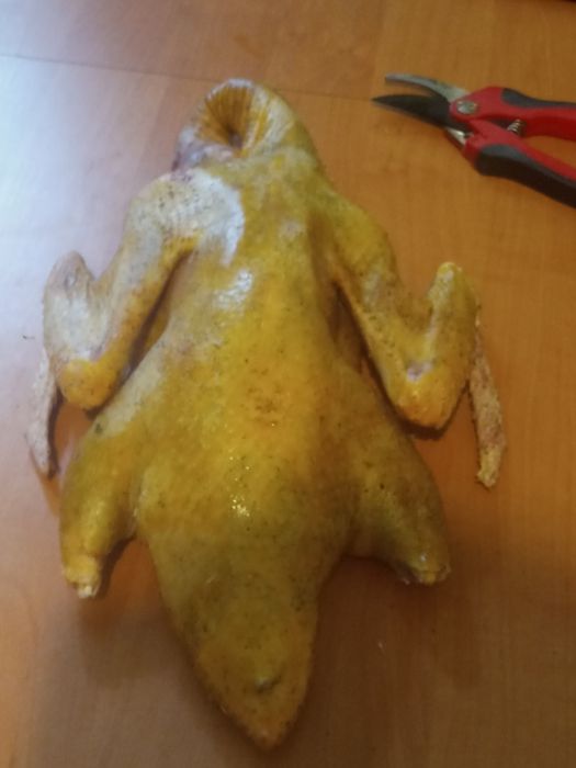 Swojskie kaczki chowane od młodego