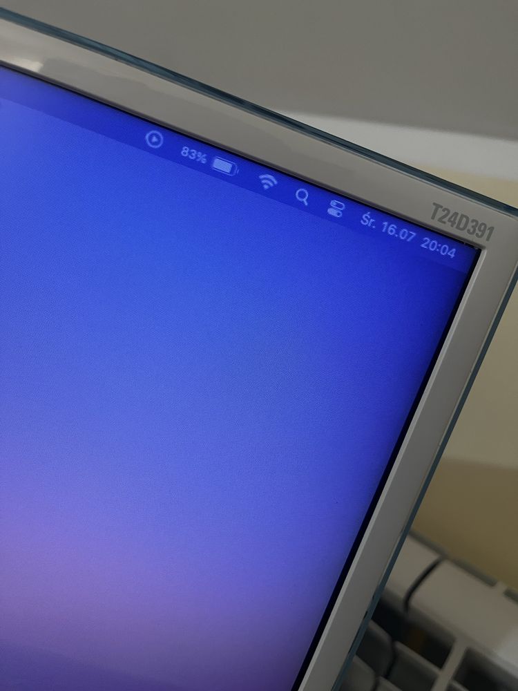 Monitor SAMSUNG T24D391 z funkcją telewizora – 24 cale
