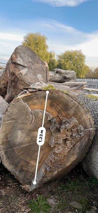 Sprzedam kłody dębu