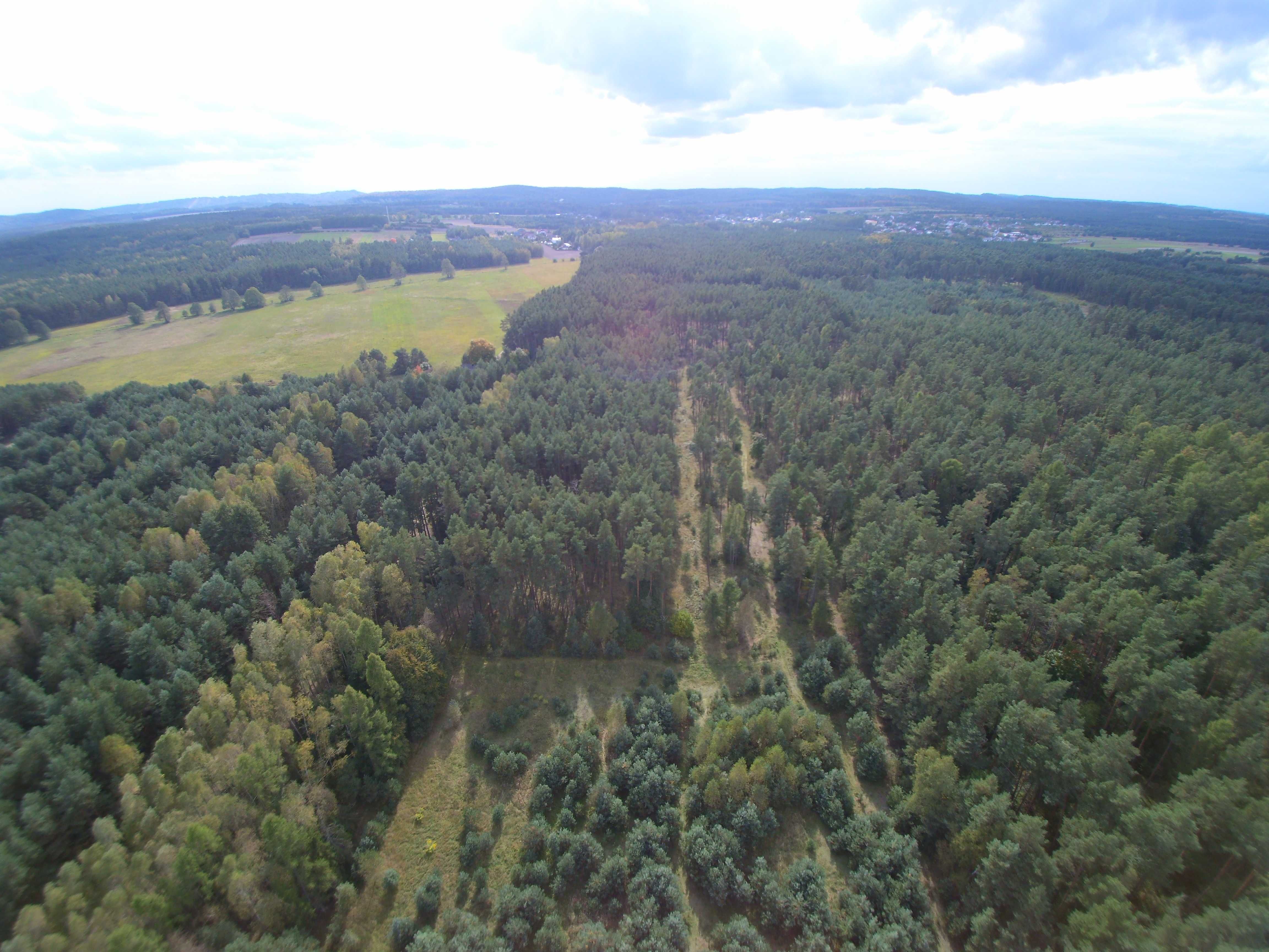 Działka rekreacyjno-leśna o pow. 3000 m2 - Ponik, ul. Wczasowa - Janów