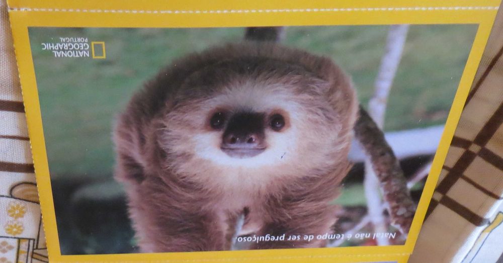 Fichas Animais e todas as sua Características 12 Unidades + Oferta DVD