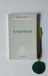 Schopenhauer, Icilio Vecchiotti