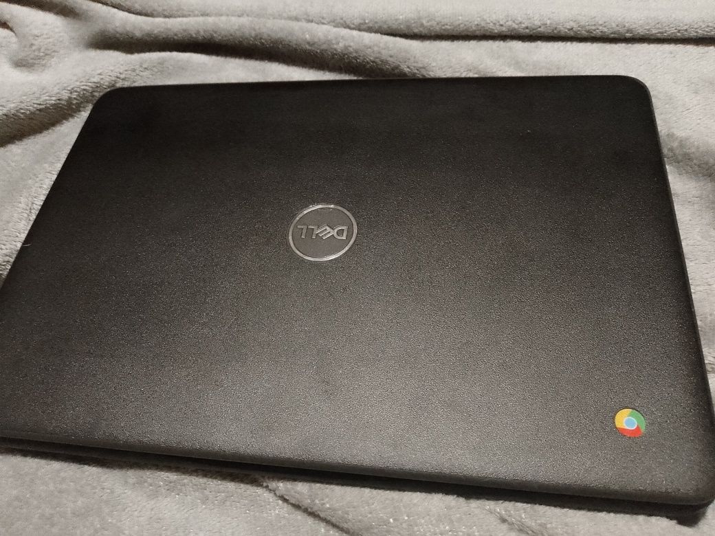 Chromebook 3100 dell