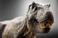 Nanmu T-rex Alpha 1.0 brown – Jurassic Park