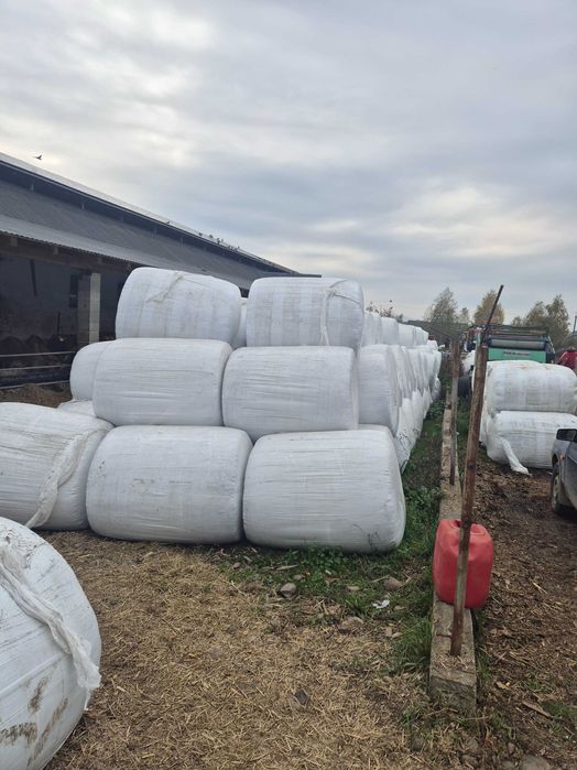 Силос кукурудзяний в тюках 2025р 3500 тона