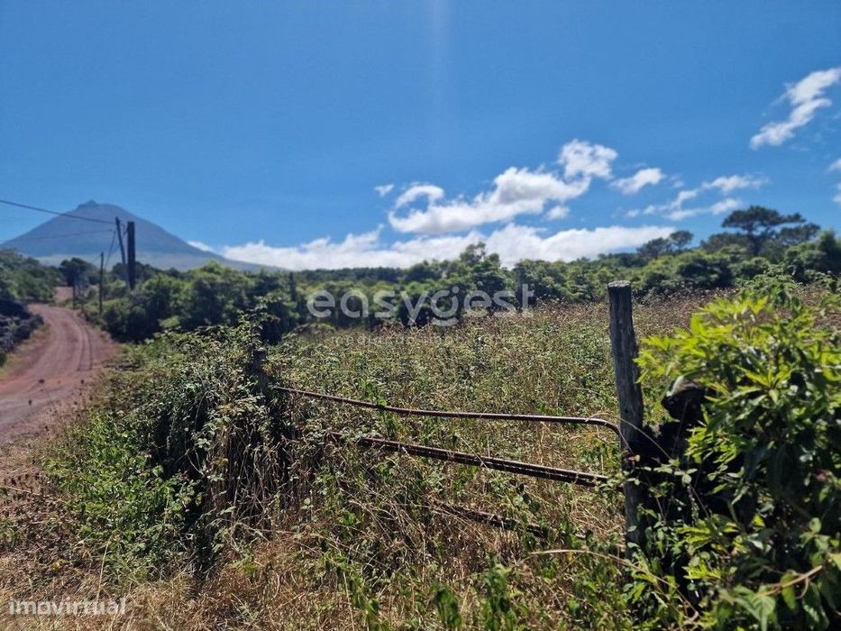 Terreno com 31944m2 no Cabeço Chão na Madalena Ilha do Pico