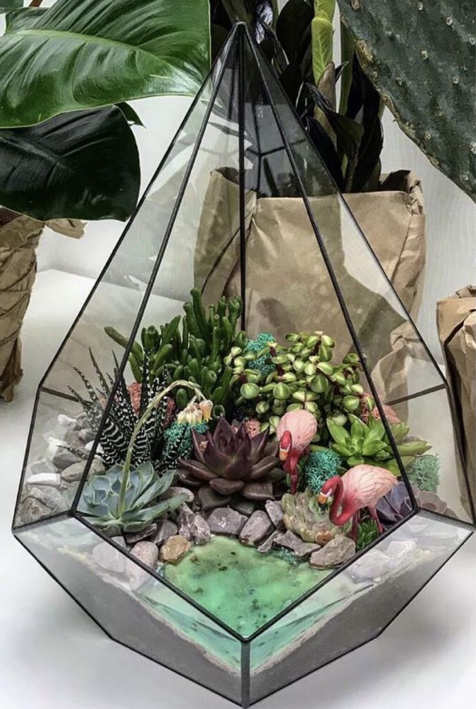 Флорариум,суккуленты в стекле,мох,подарок,бонсай,цветы в стекле