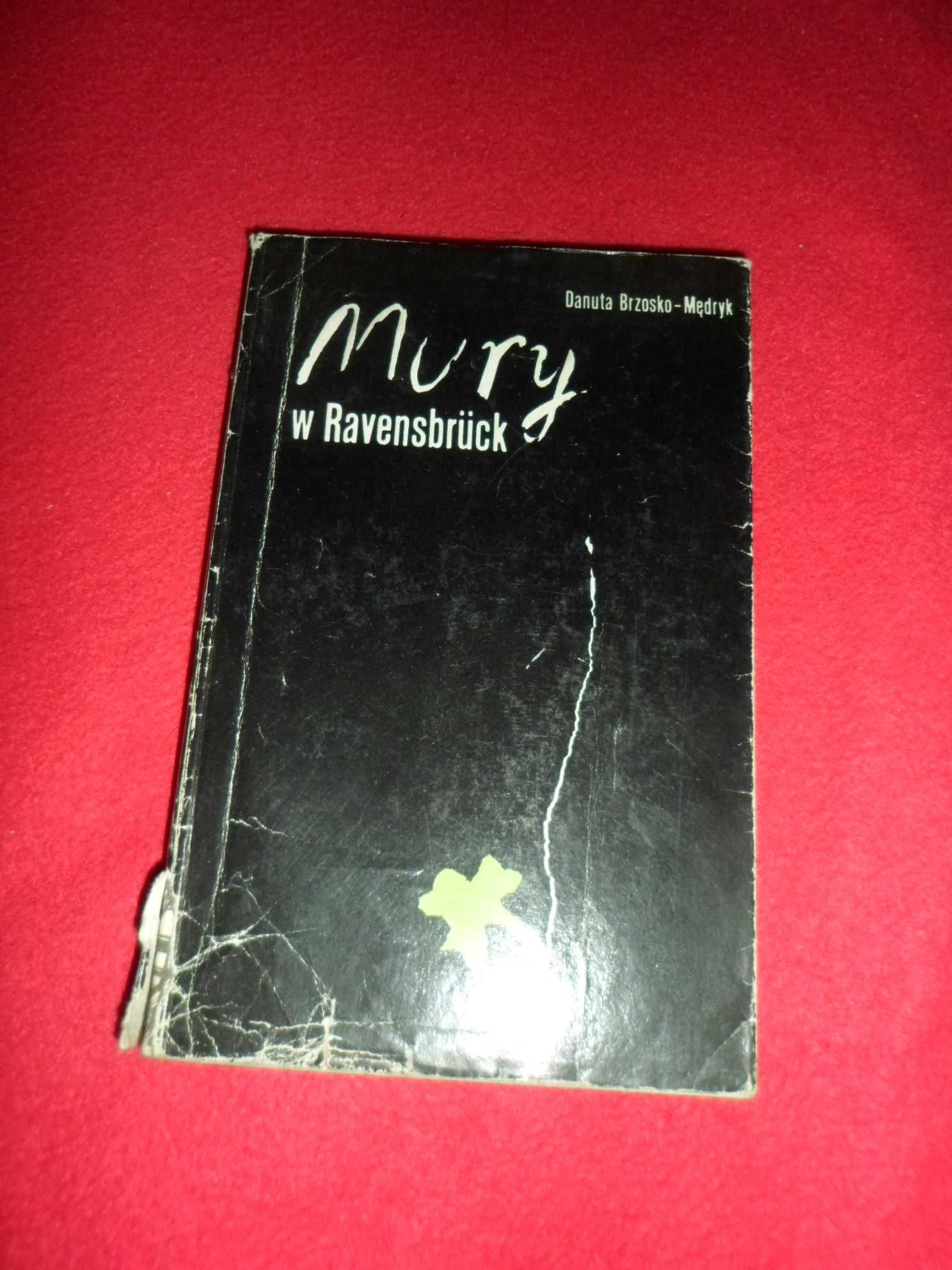Danuta Brzosko-Mędryk - Mury w Ravensbruck