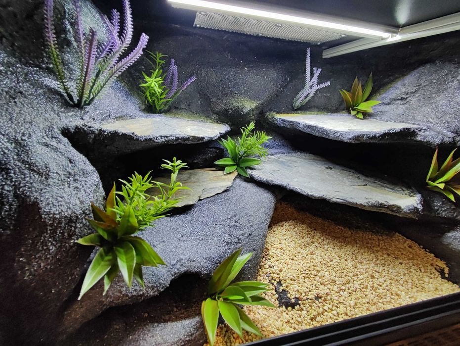 Terrarium 60x40x40 dla gekona jaszczurki