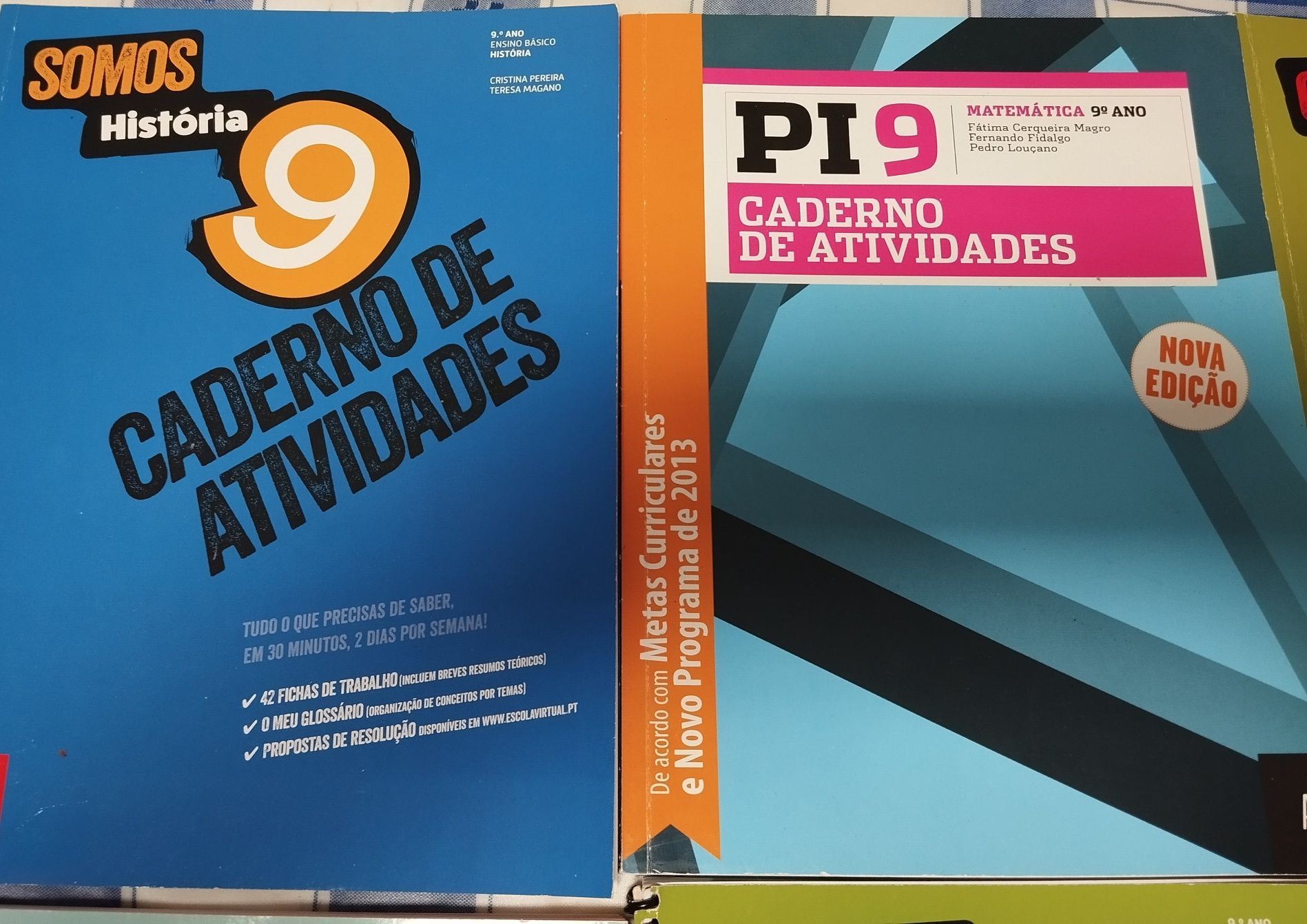 Livros de actividade 9 Ano