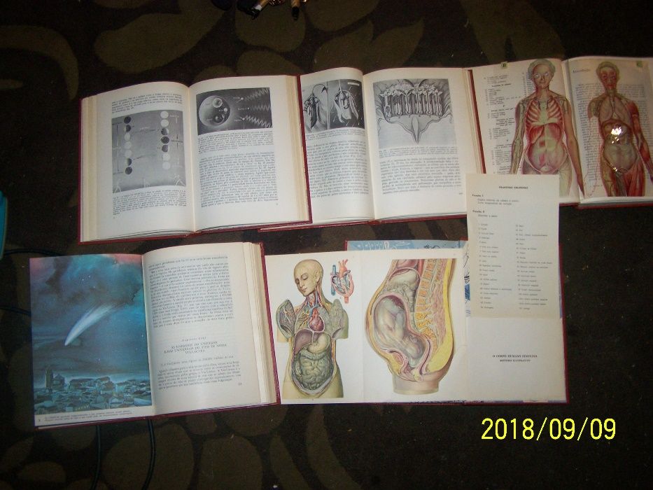 enciclopedia DA NATUREZA ,Fritz Kahn