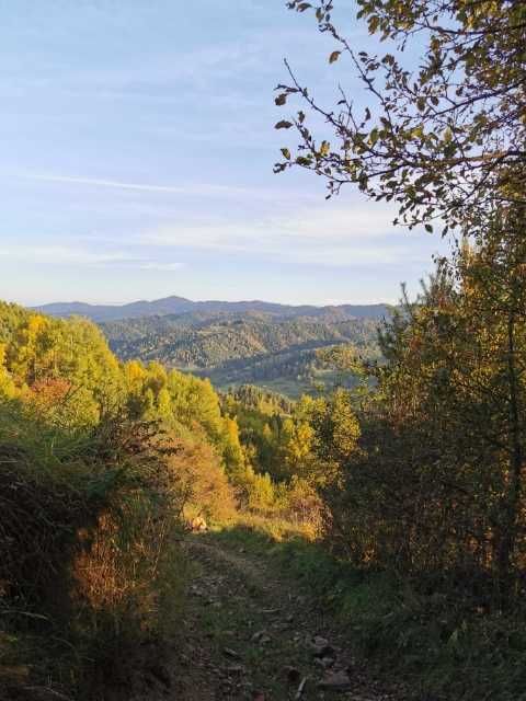 Noclegi Ochotnica Górna