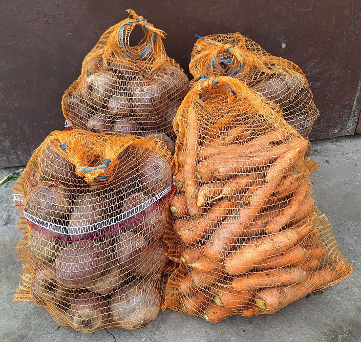 Warzywa od rolnika marchew buraczki por seler