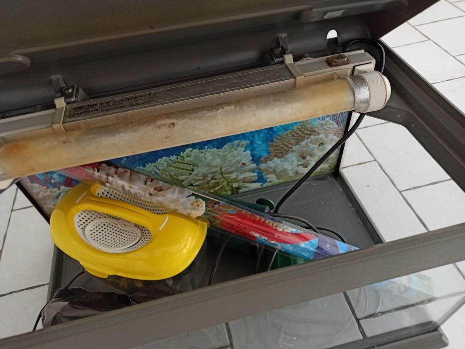 Aquário 58x33x35 cm