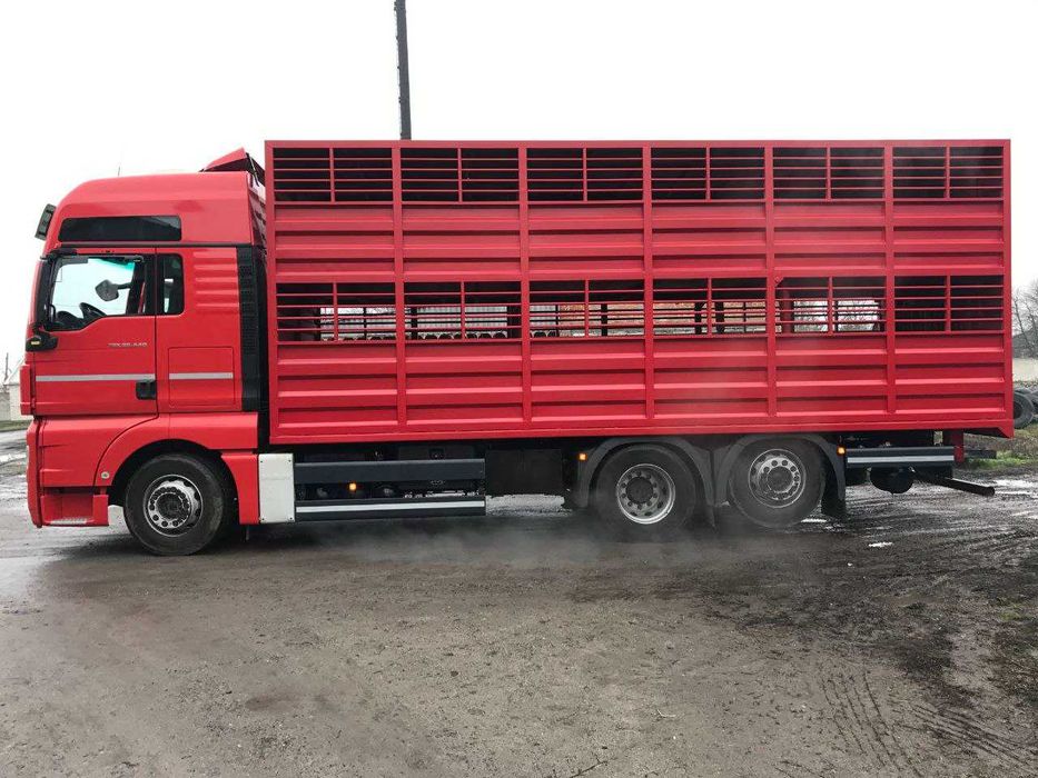 виготовлення надбудов кузова для перевезення тварин. (скотовоз)