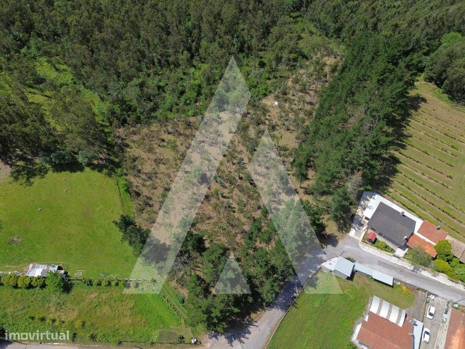 Terreno em Serém de Cima, Macinhata do Vouga