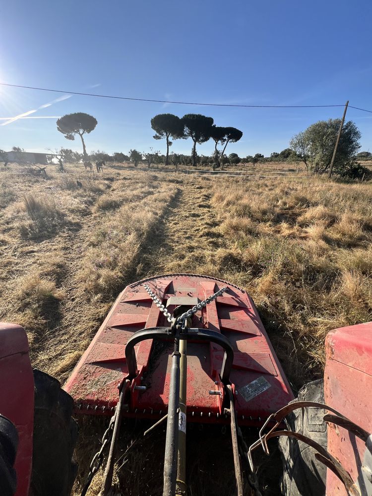 Trabalhos de desmatação e limpeza de terrenos