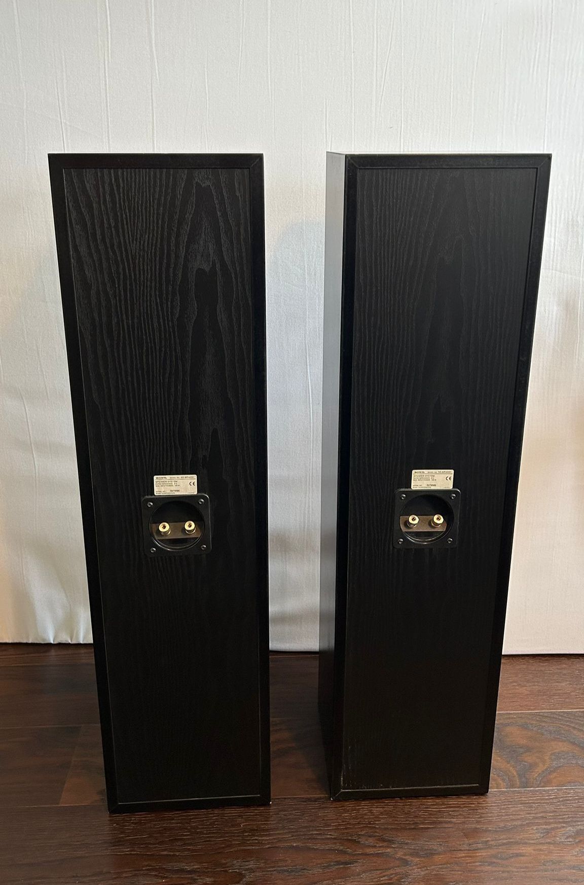 Kolumny SONY SS-MF450H