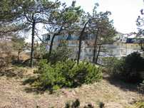 USTKA-WRZESIEŃ Apartament przy porcie 300 m od morza,Las,wydmy,