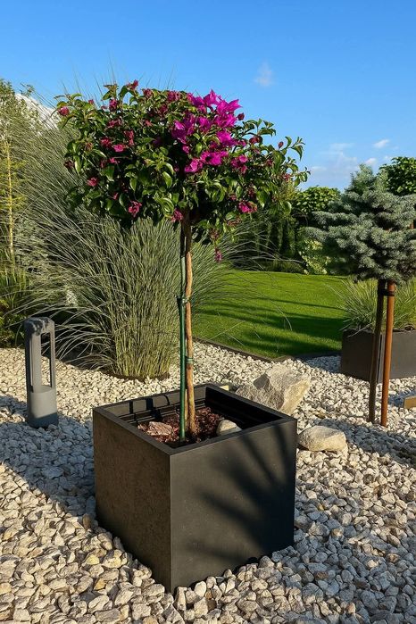 Donica betonowa doniczka ogrodowa donice tarasowa beton architektonicz