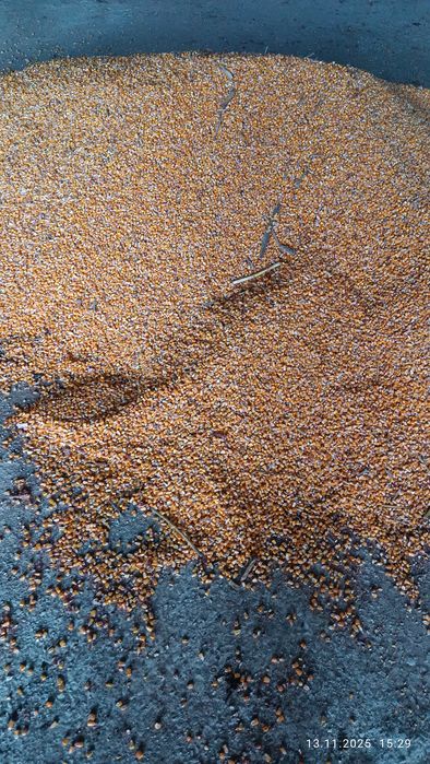 Сільгосппродукція