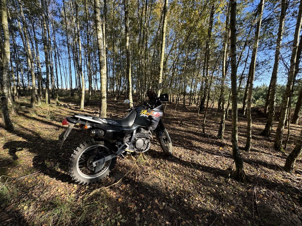 Honda Nx650 dominator Rd02 na czesci