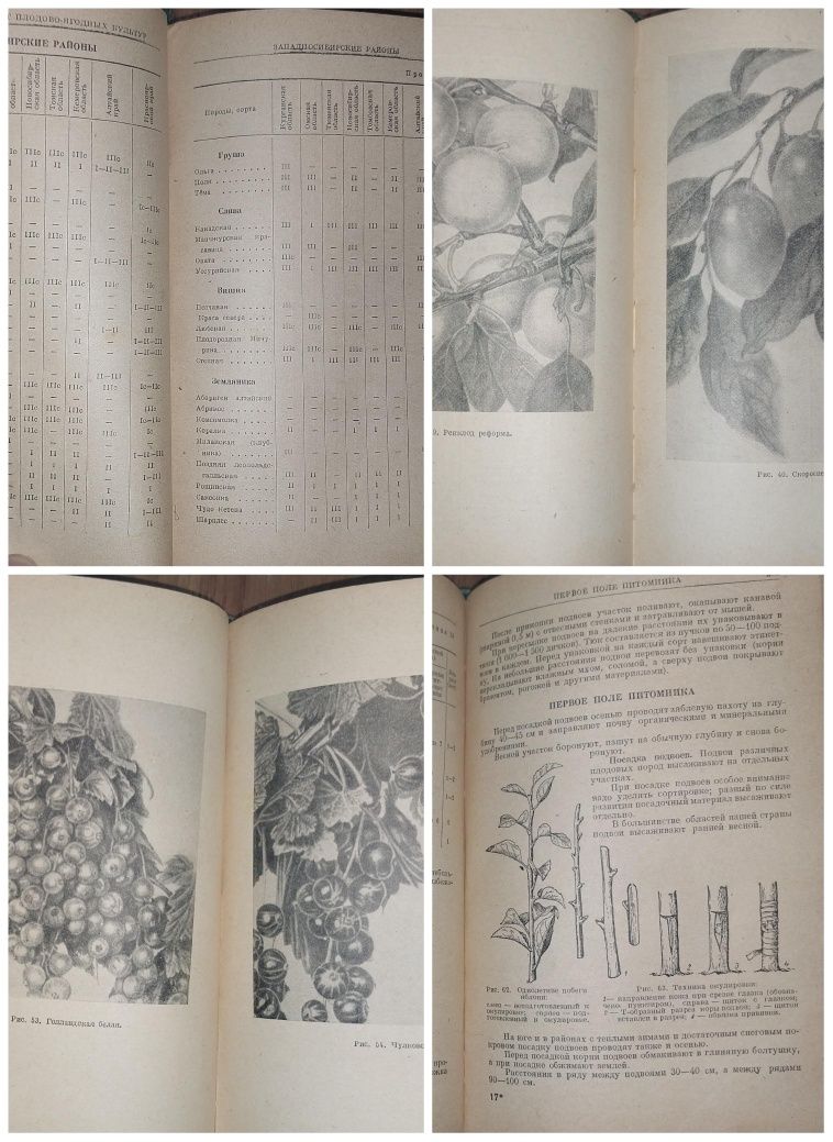 Справочник садовода 1956 год
