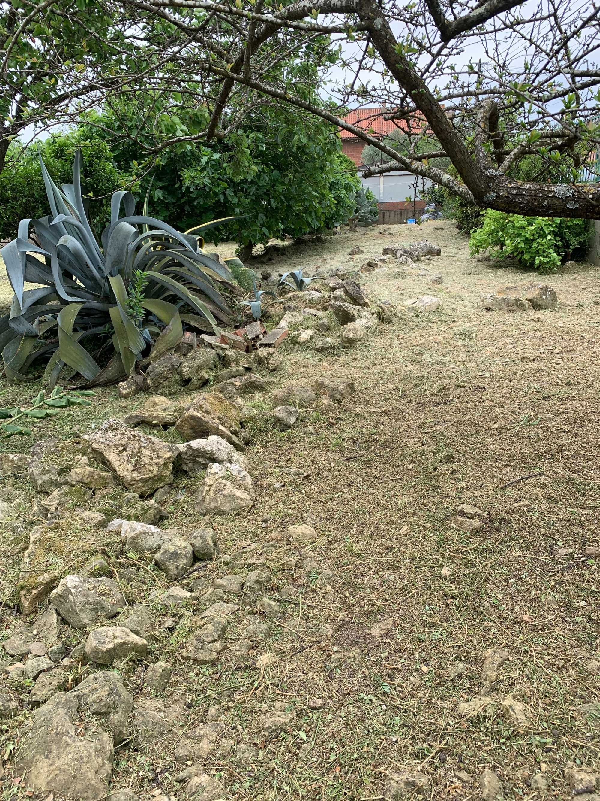 Serviços de limpeza de terrenos e quintal