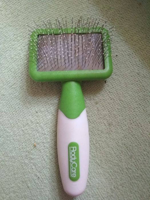 Nieduża szczotka do czekania gryzoni