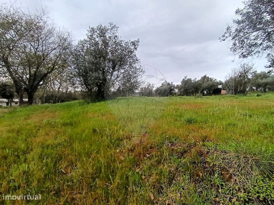 Terreno  para venda