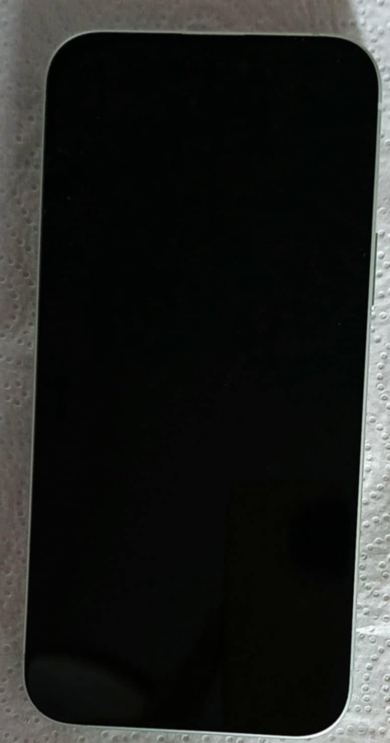 Iphone 15 Plus Miętowy