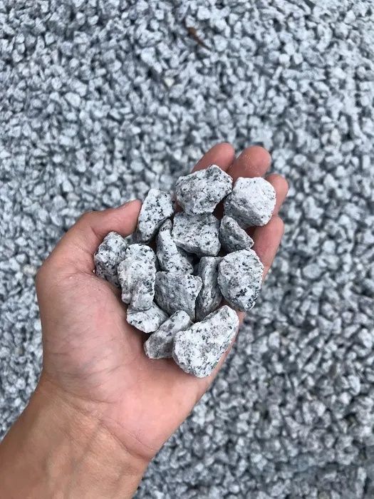 Grys granitowy kamień dalmatyńczyk kamień ozdobny kamień ogrodowy