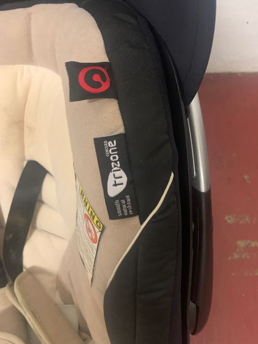 Vendo Ovo baby cock Concord