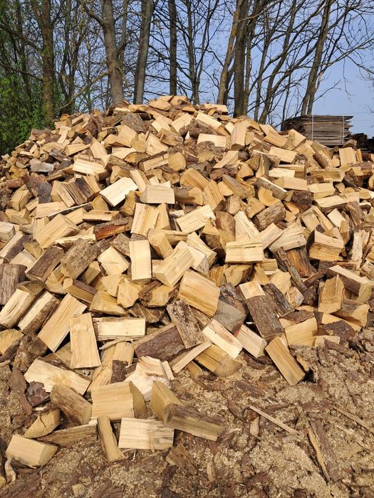 Suche drewno opałowe/kominkowe z transportem