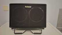 Amplificador Roland AC-60