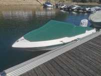 Campion Allante 485