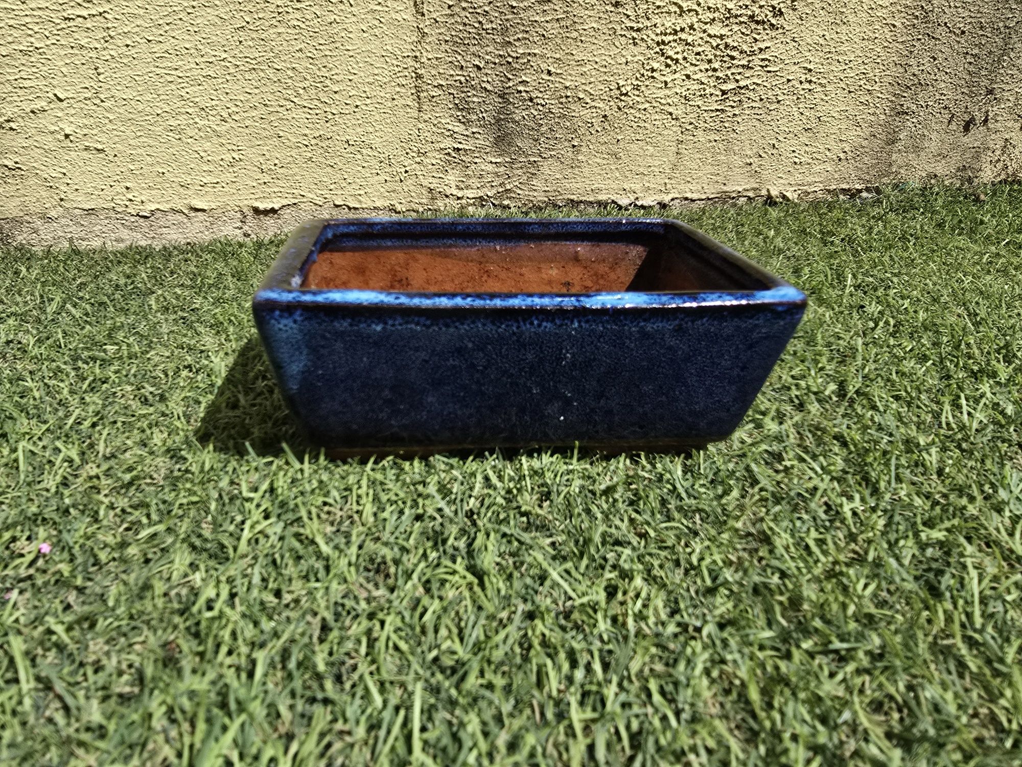 Vaso bonsai azul