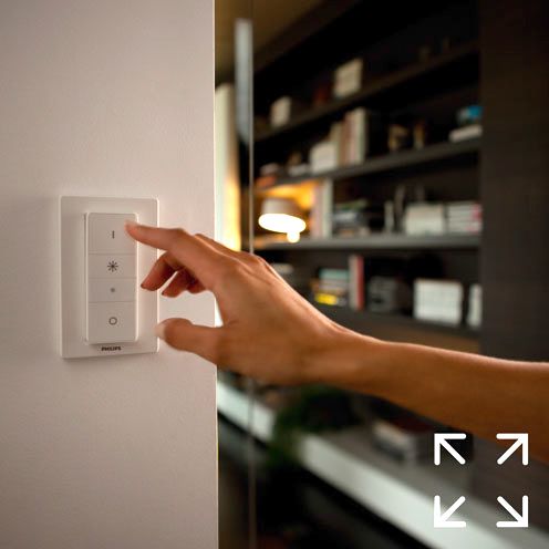 Switch Dimmer Philips Hue